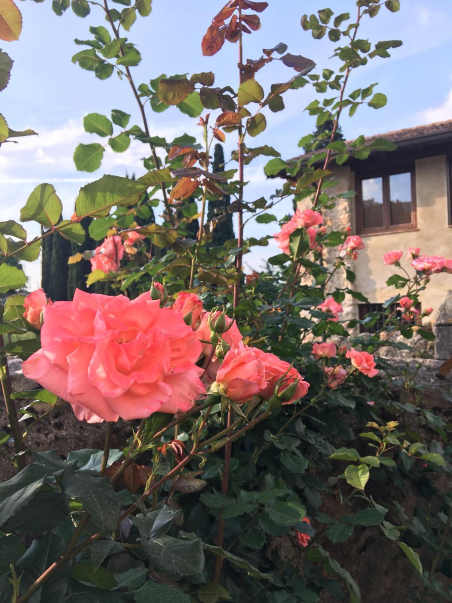 Agriturismo Val Костермано Екстериор снимка